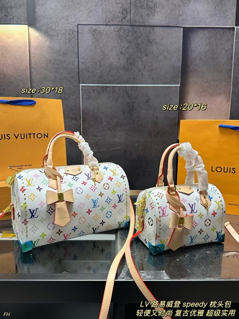 Louis Vuitton Speedy Pillow Bag (Large 30×18cm｜Small 20×16cm)