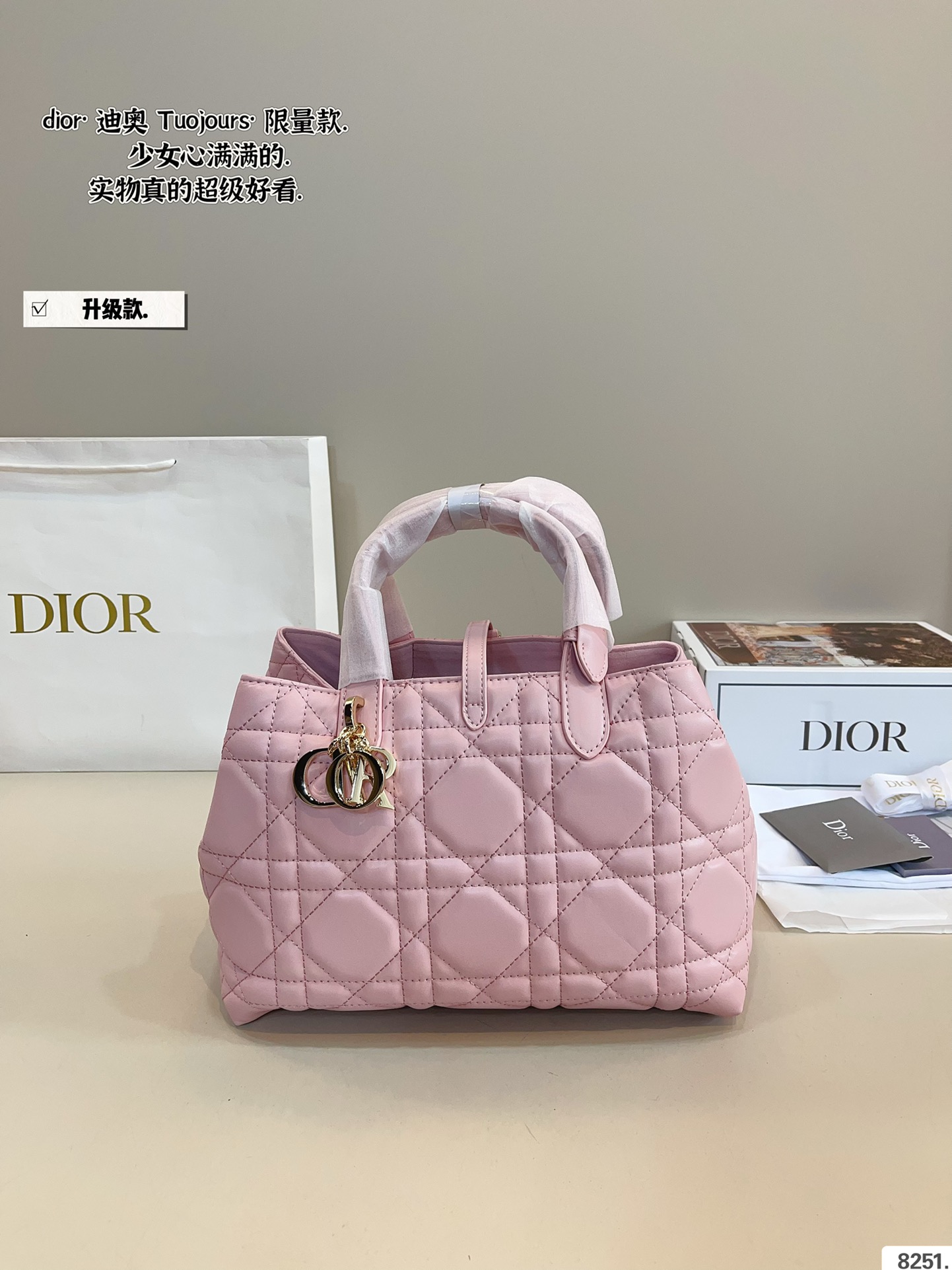 New Dior Toujours Tote Bag (Large 29cm/Small 22cm) with Elegant Gift Box - Image 3