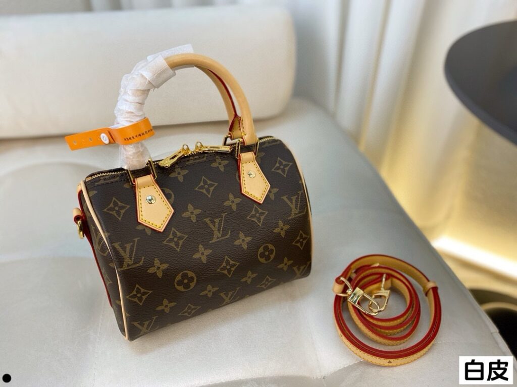 Louis Vuitton Speedy Pillow Bag (20×15cm)