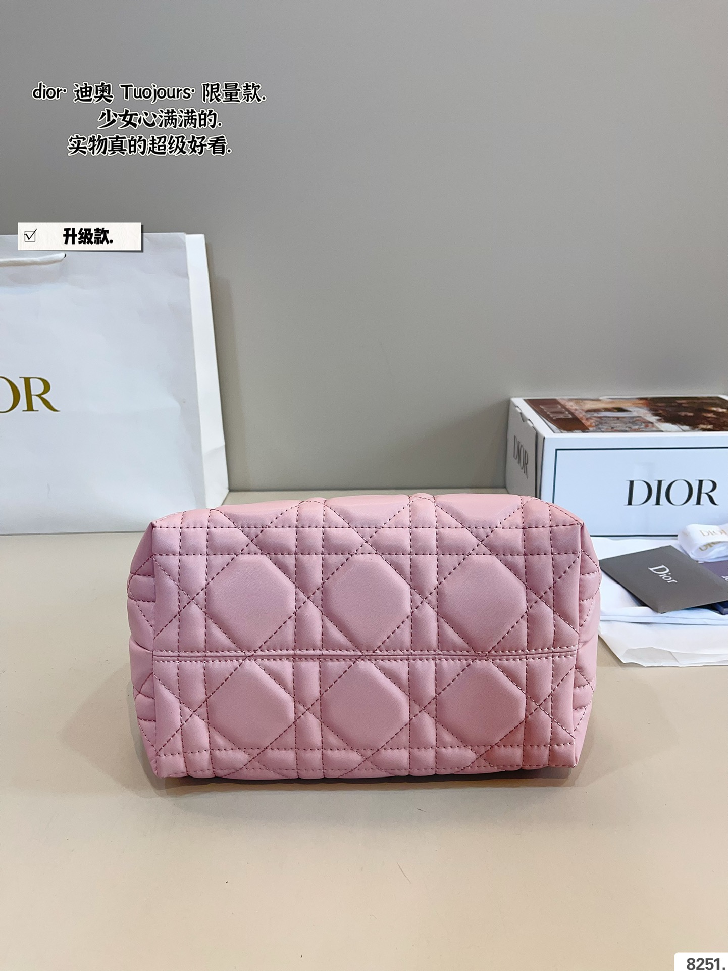 New Dior Toujours Tote Bag (Large 29cm/Small 22cm) with Elegant Gift Box - Image 6