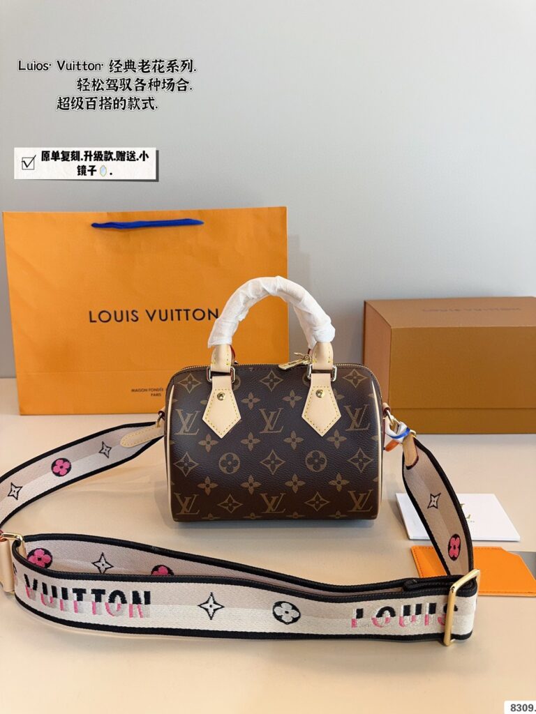 Louis Vuitton Speedy20 Pillow Bag (20×14×11cm)
