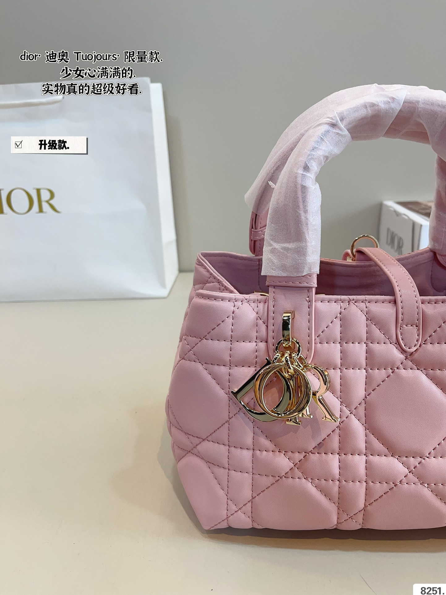 New Dior Toujours Tote Bag (Large 29cm/Small 22cm) with Elegant Gift Box - Image 5