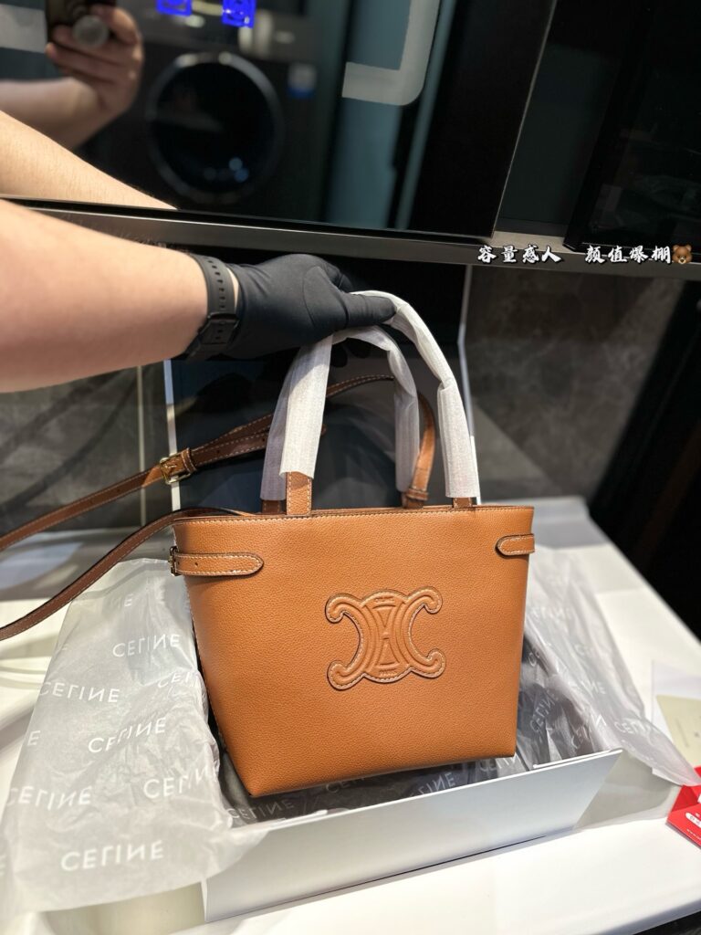 Celine New Mini Anais Tote - SS2025 Collection (21×20cm)
