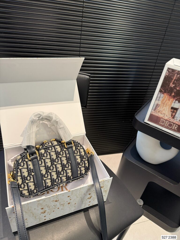 New Dior Shell Pillow Bag (20×11cm) with Airplane Box & Foldable Gift Box