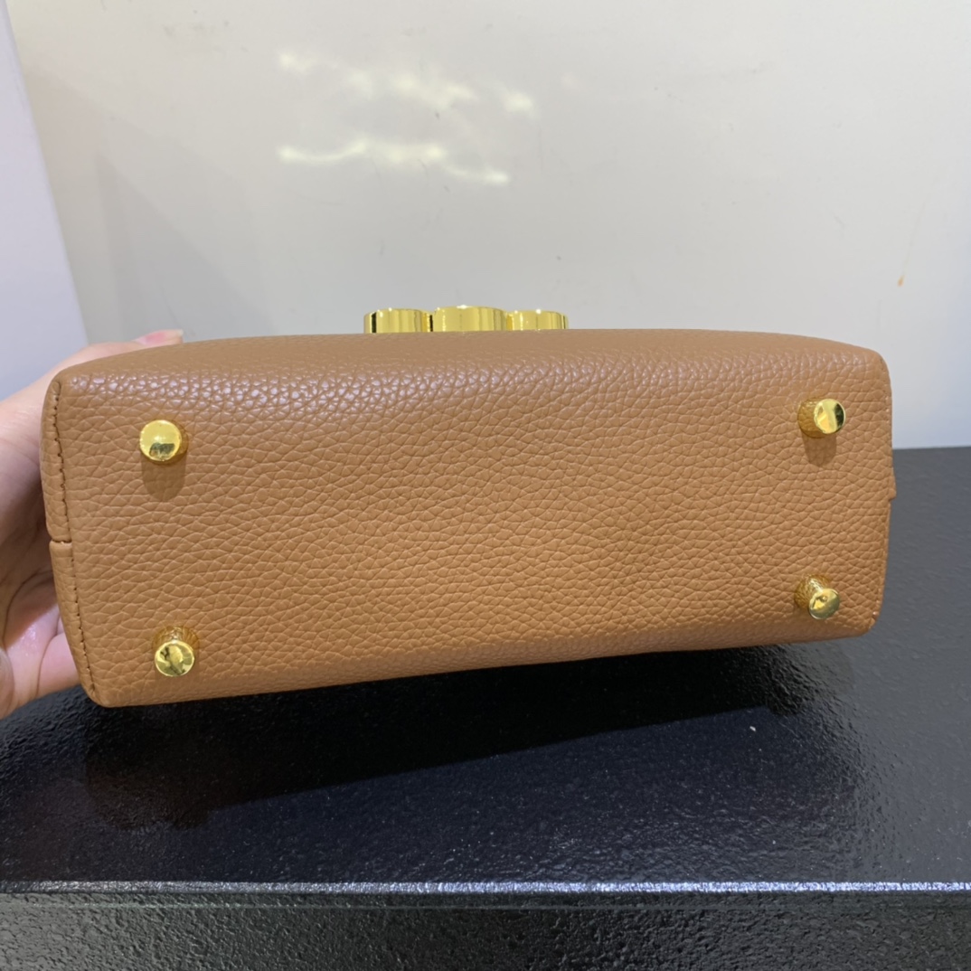 Celine 108360 Bag Size 20
