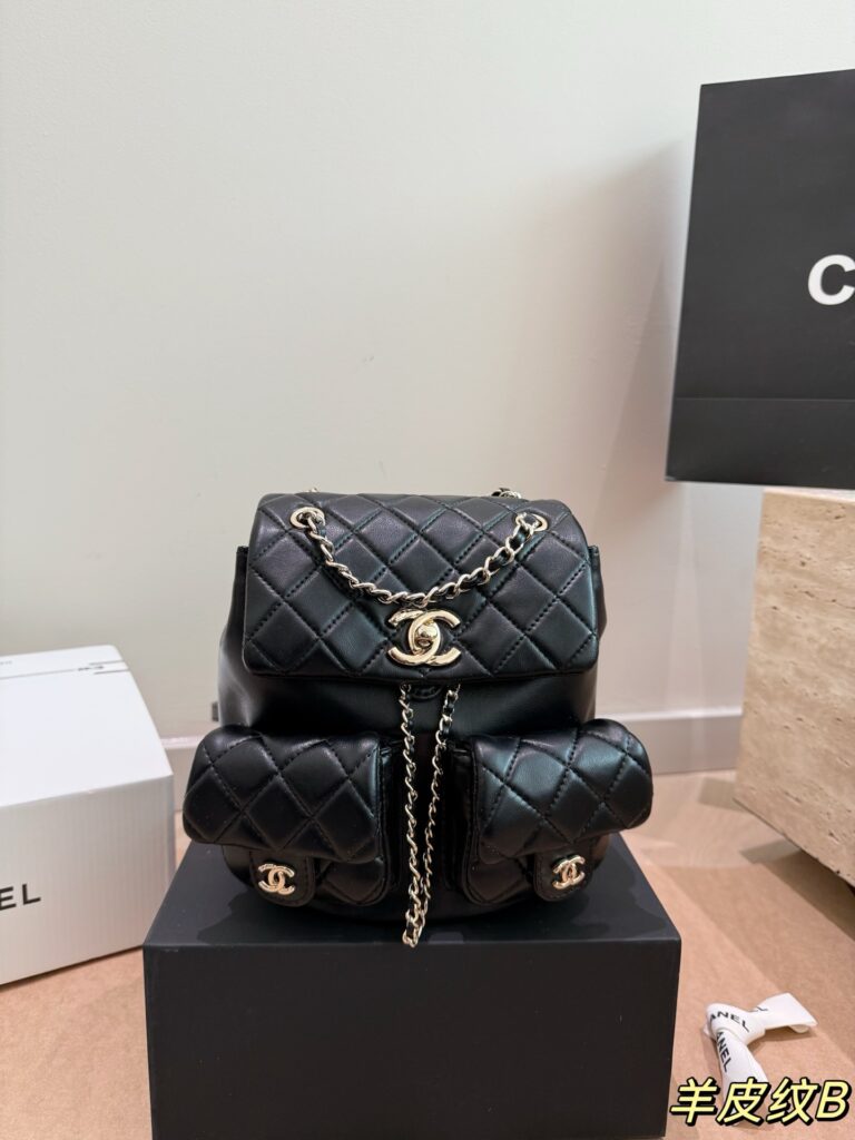Chanel 258519 Bag Size 20