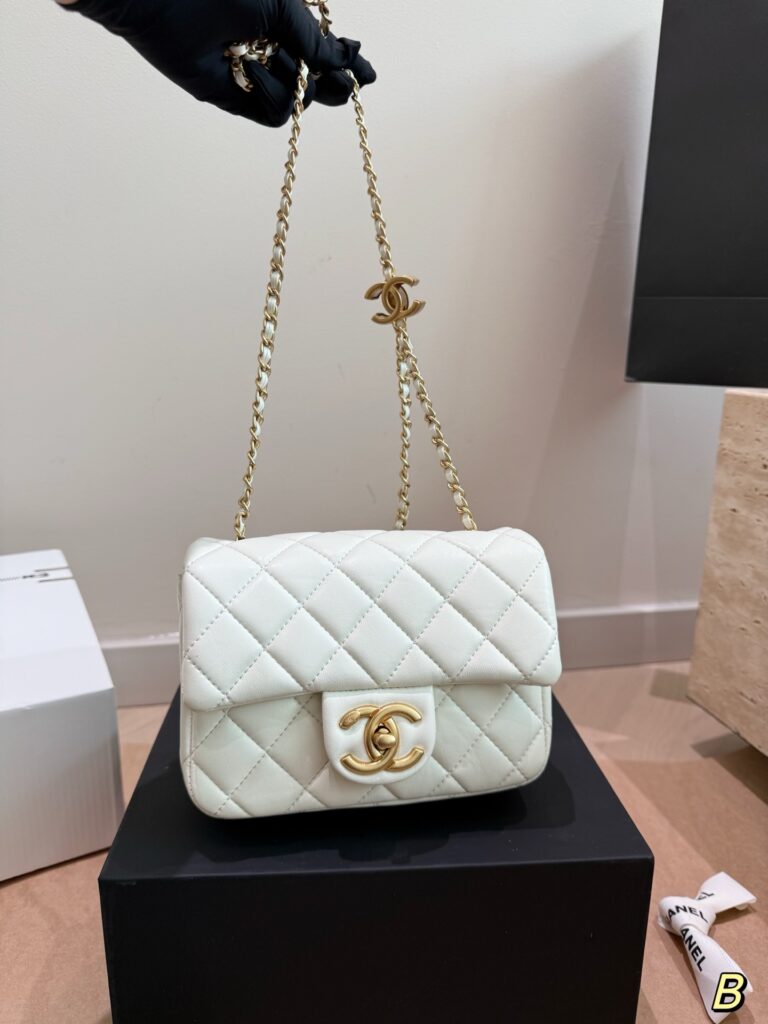 Chanel 258522 Bag Size 17, 12