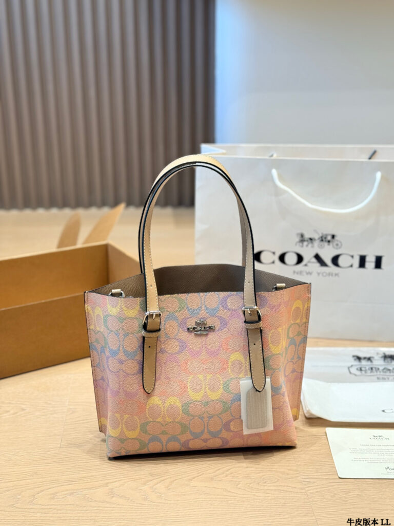 Celine 269190 Bag Size 23