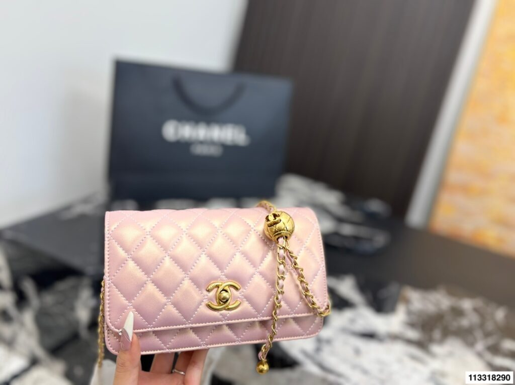 Chanel 269261 Bag Size 19, 12