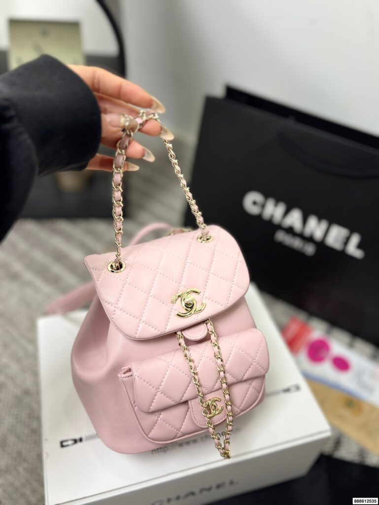 Chanel 295229 Bag Size 18, 17