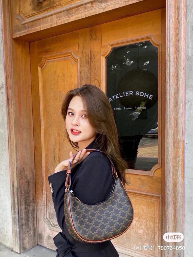 Celine 459744 Bag Size 23
