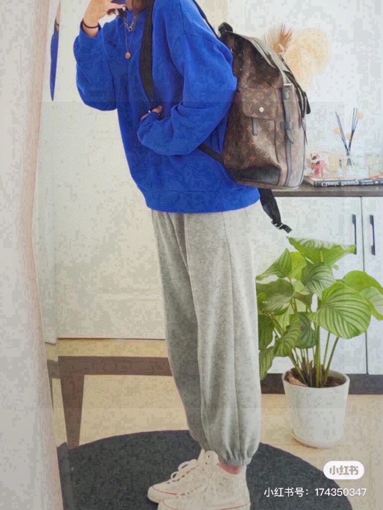 Louis Vuitton 461554 Bag Size 41-35