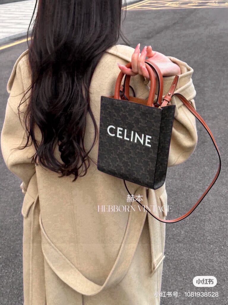 Celine 464832 Bag Size 20-17
