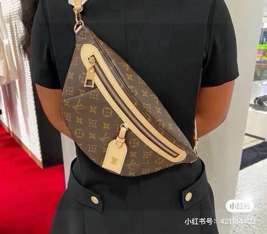 Louis Vuitton 467144 Bag Size 24, 29, 38-17