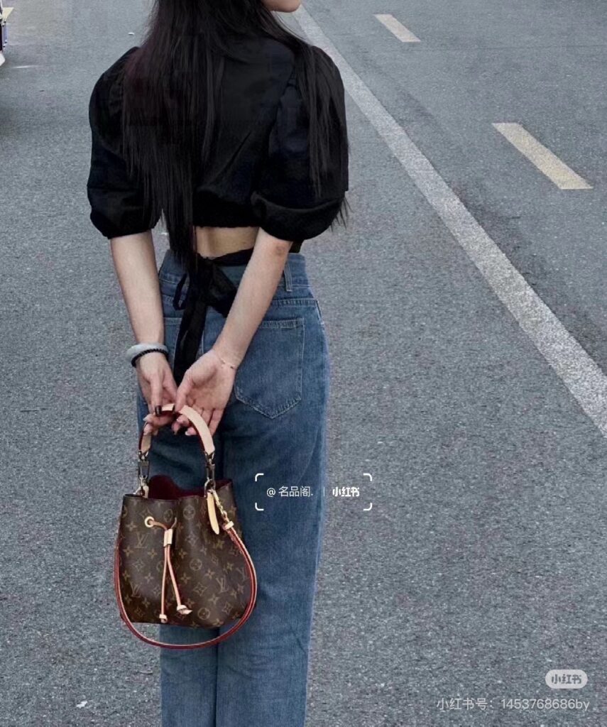 Louis Vuitton 468571 Bag Size 20-20