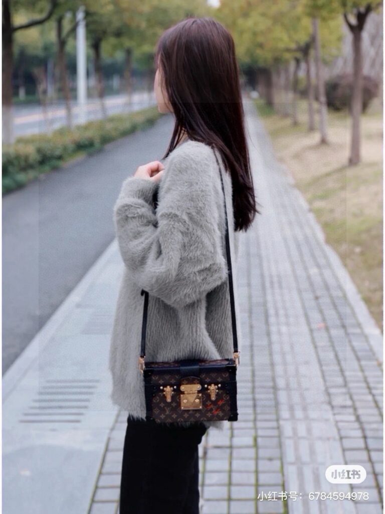 Louis Vuitton 470050 Bag Size 19-12