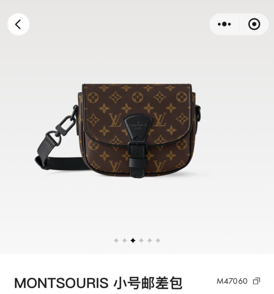 Louis Vuitton 474855 Bag Size 20, 17