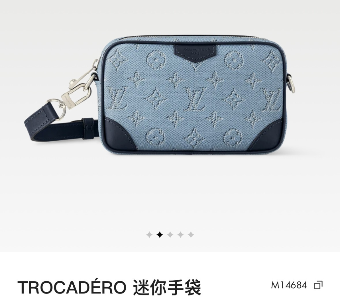 Louis Vuitton 478209 Bag Size 20, 13