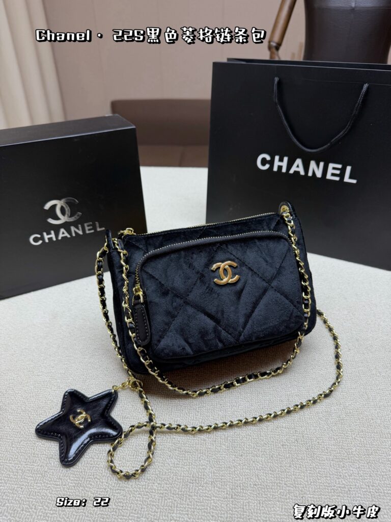 Chanel 558258 Bag Size 22, 15