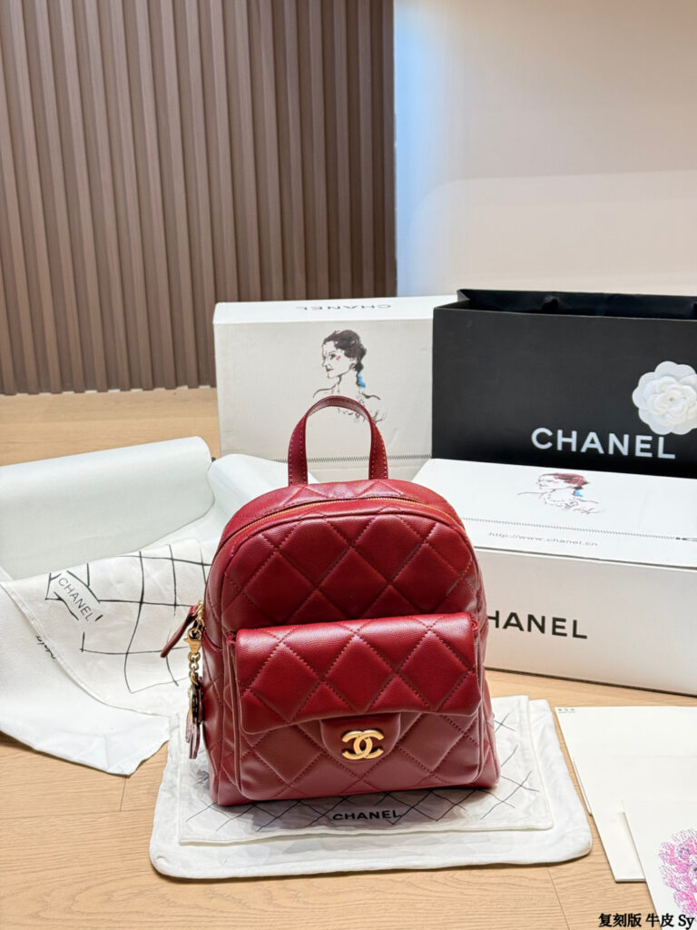 Chanel 559144 Bag Size 21