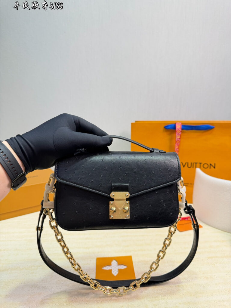 Louis Vuitton 561390 Bag Size 20, 12