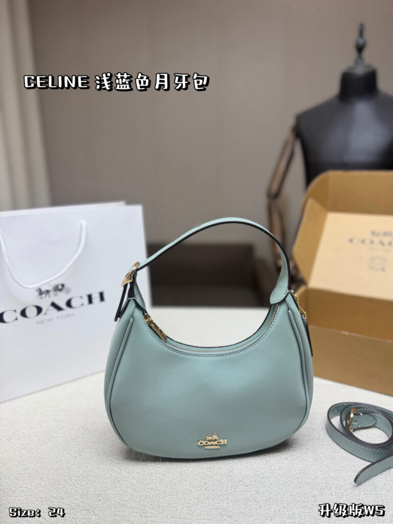 Celine 562317 Bag Size 24, 14