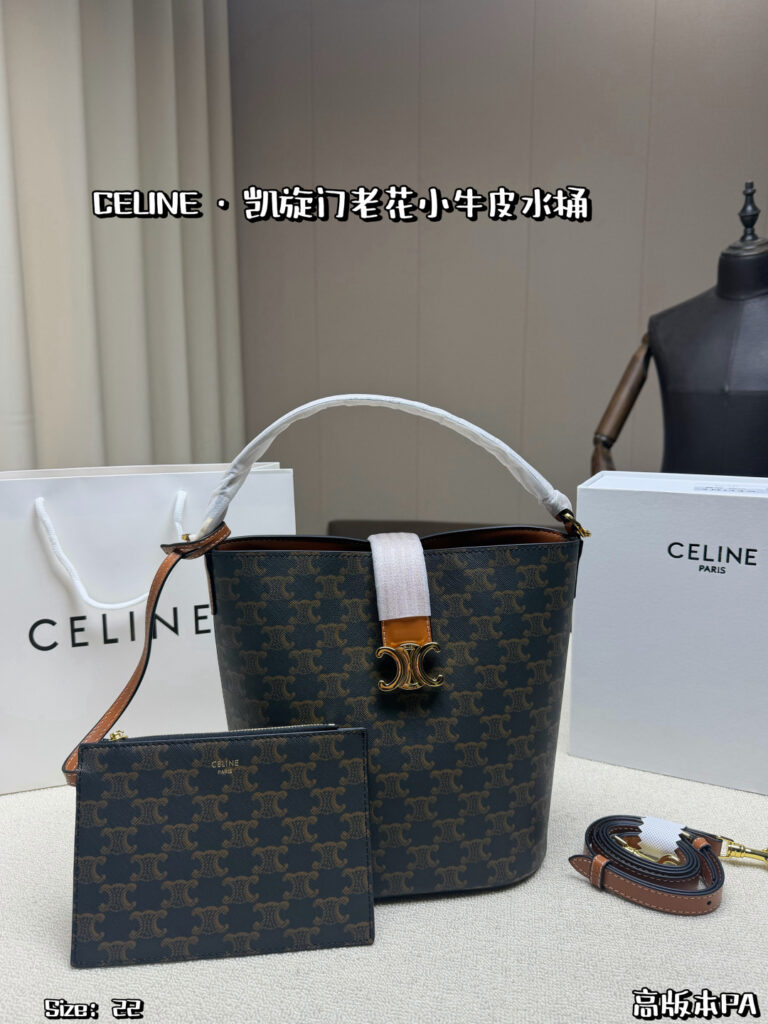 Celine 565443 Bag Size 22, 24