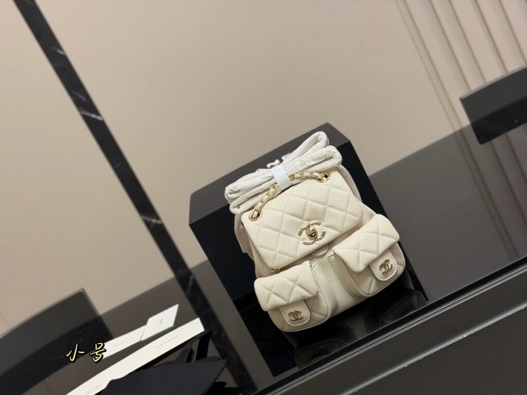 Chanel 567427 Bag Size 17