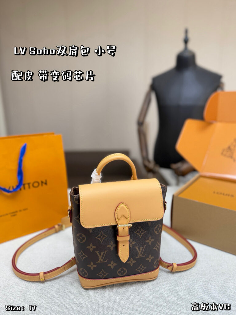 Louis Vuitton 570580 Bag Size 17, 21