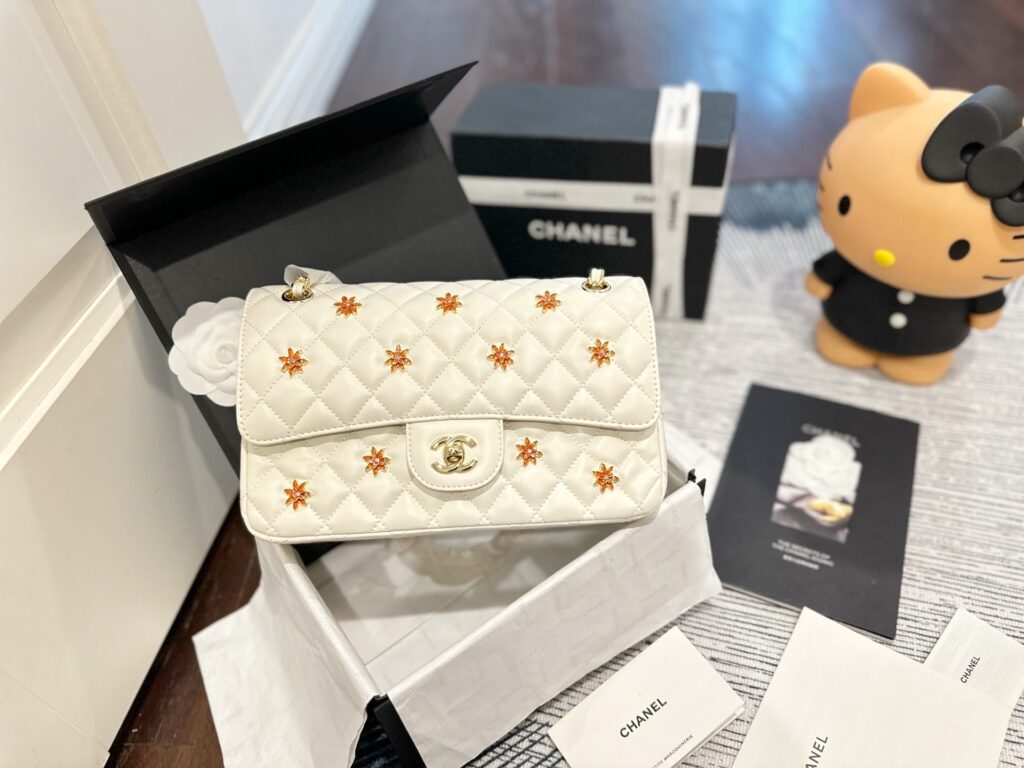 Chanel 573803 Bag Size 25, 16