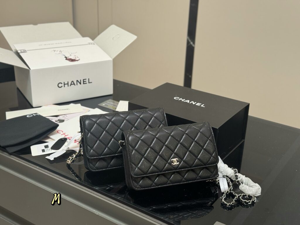 Chanel 576195 Bag Size 19