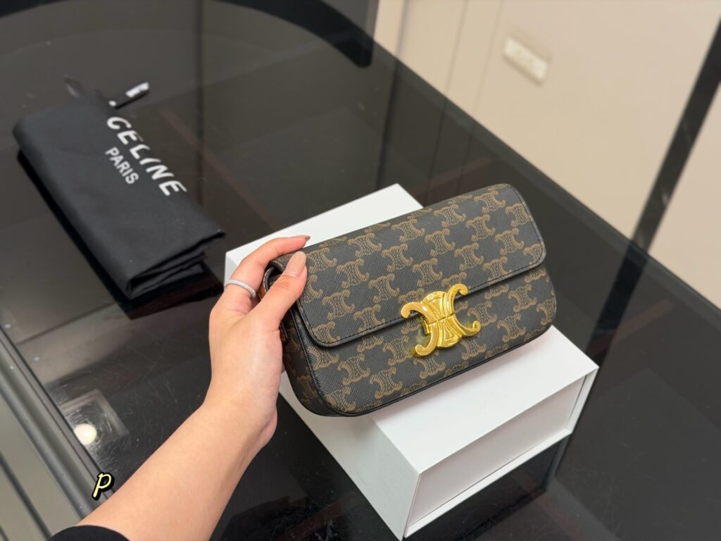 Celine 576239 Bag Size 20