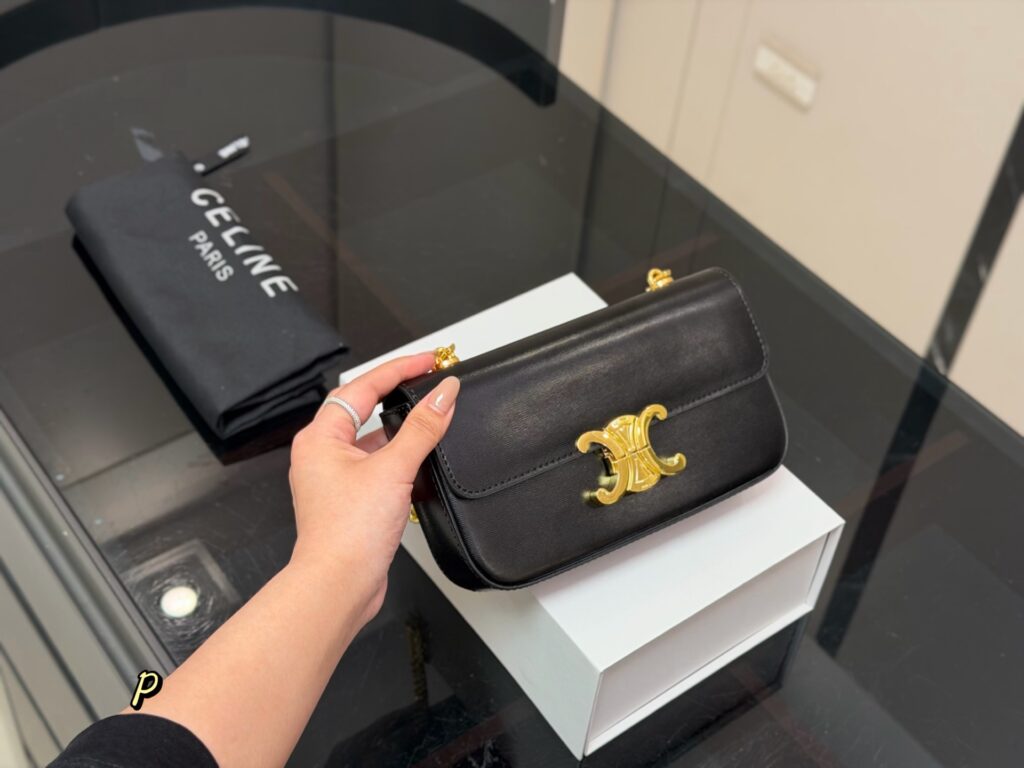 Celine 576241 Bag Size 20