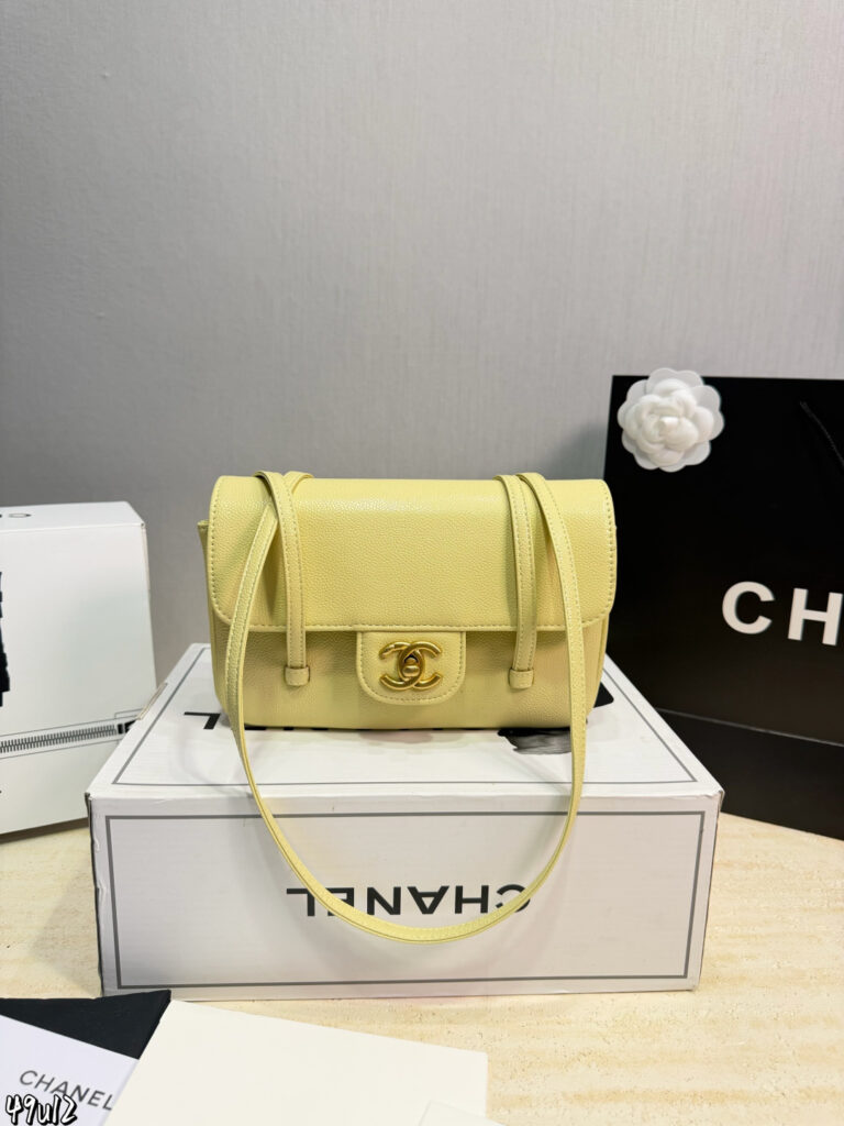 Chanel 577052 Bag Size 22, 14