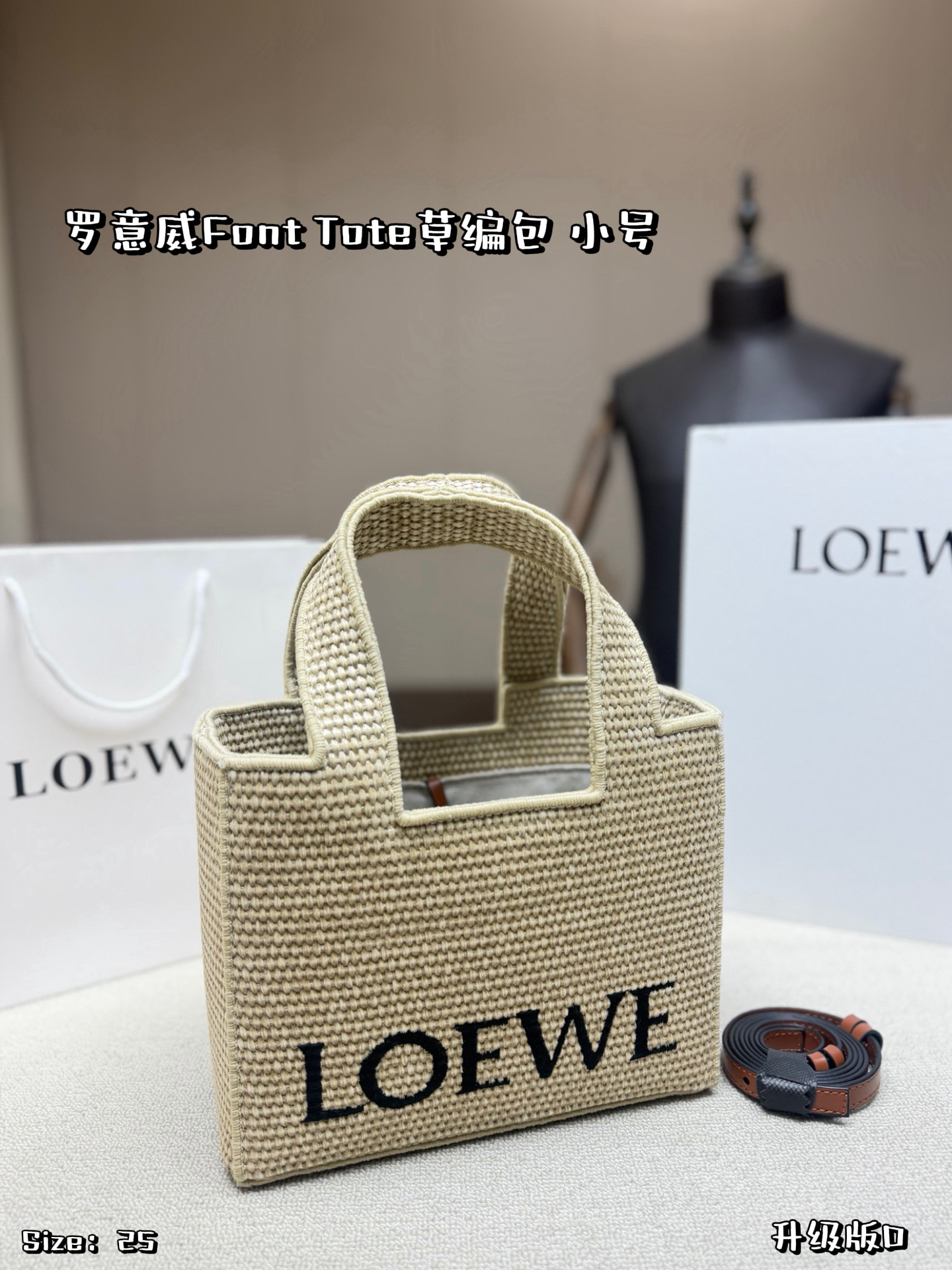 Loewe 579819 Bag Size 25, 20