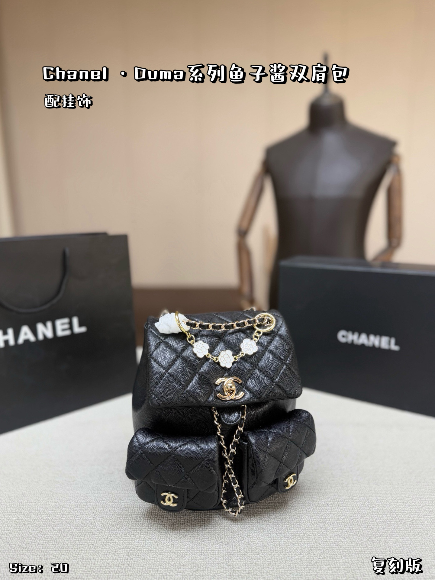 Chanel 579833 Bag Size 20