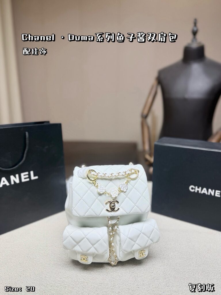 Chanel 579834 Bag Size 20