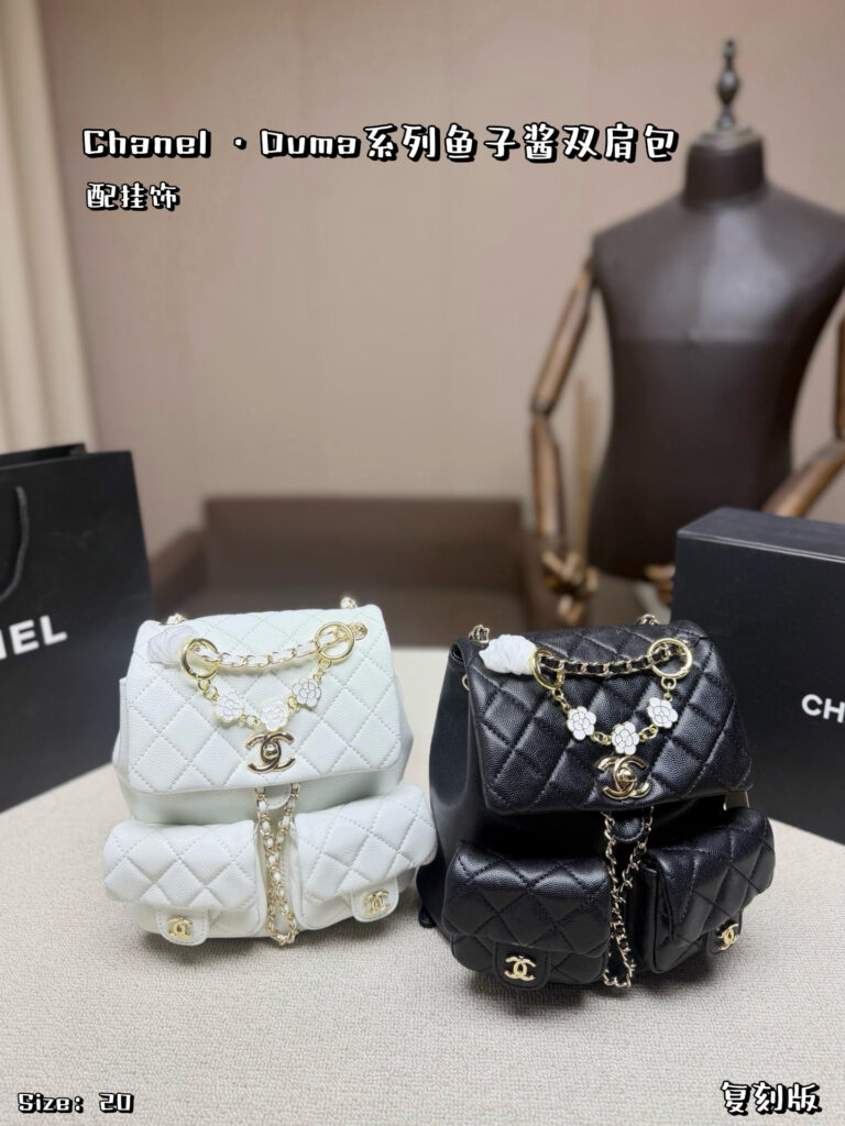 Chanel 579835 Bag Size 20