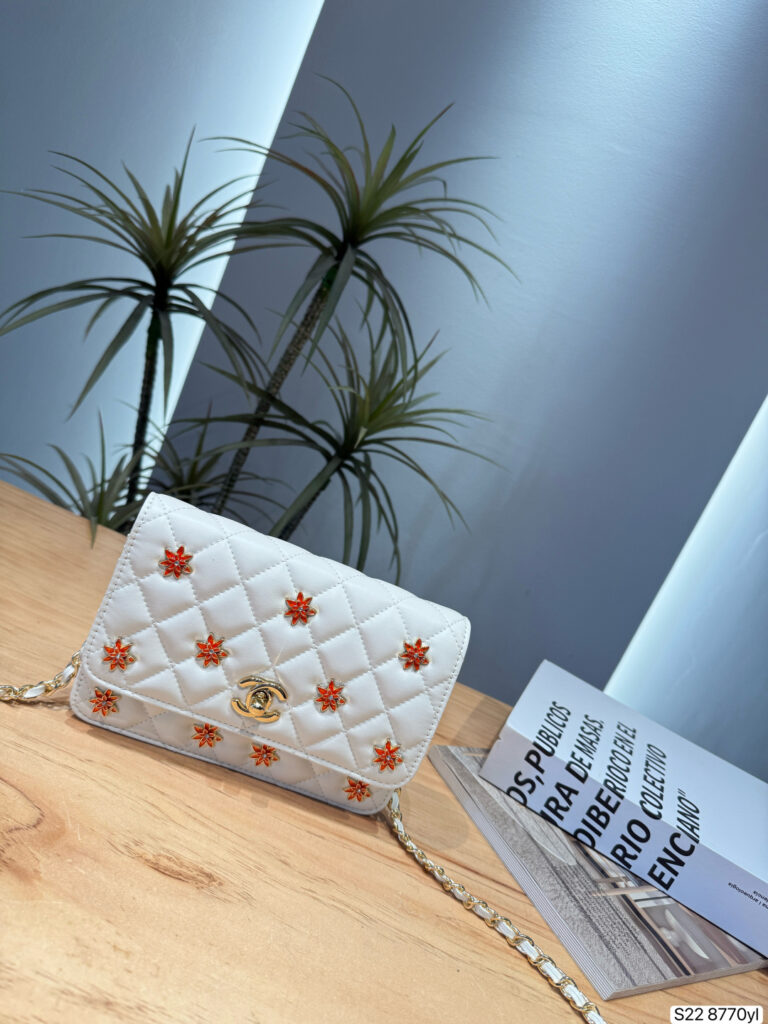 Chanel 580262 Bag Size 19, 14
