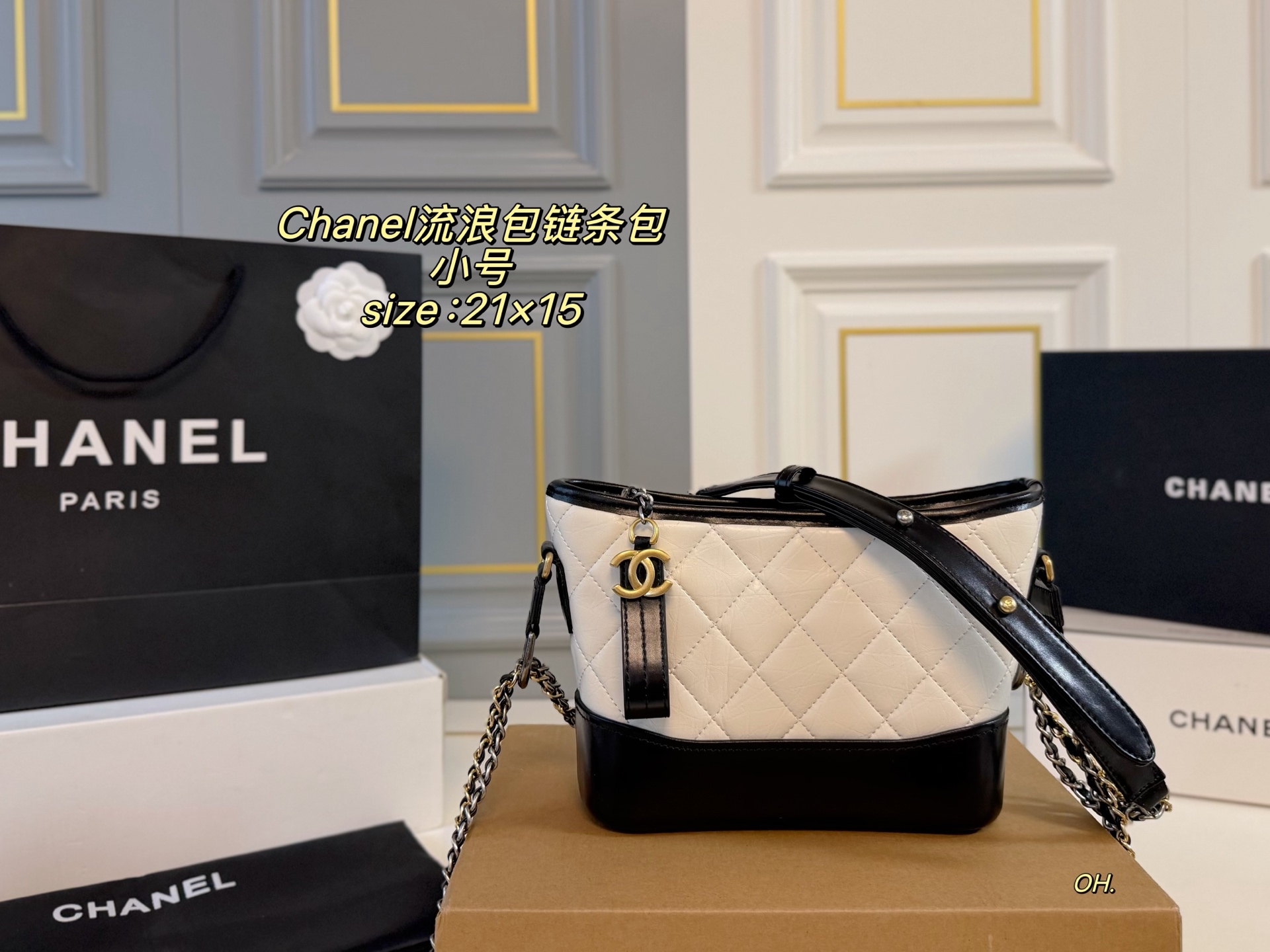 Chanel 978579 Bag Size 21, 15