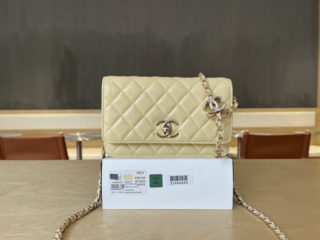Chanel LT188713 Bag Size 19, 12