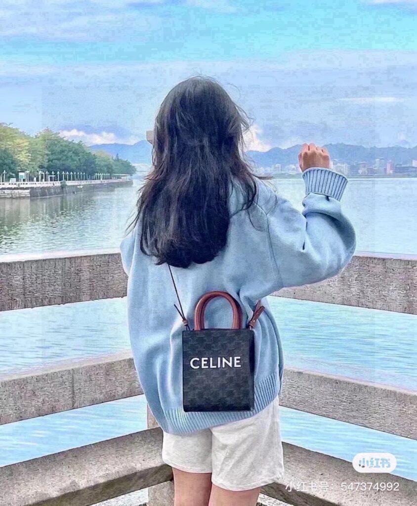 Celine D9Hlrxsi9Sz24Wmz6Io64Rvmhccegznzclr0Dna RvMhCcegzNzcLR0dNA Bag Size 20-17